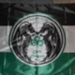 Celtic Dragons