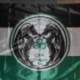Celtic Dragons